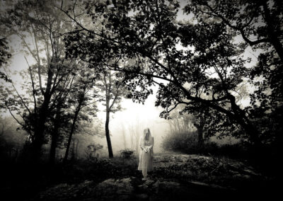 The Offering